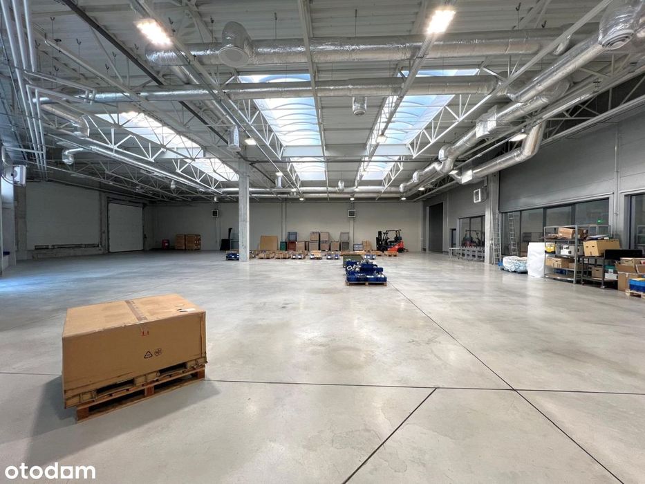 Hala na wynajem Jasionka przy lotnisku, Tajęcina