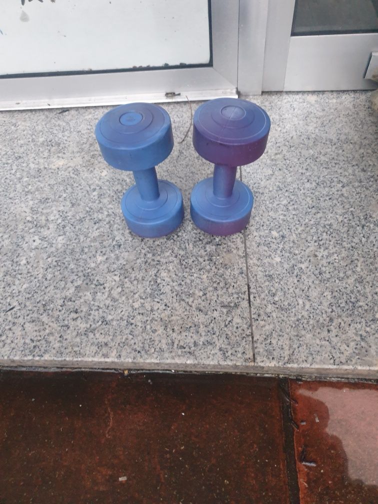 2 Alteres de 3kg cada.