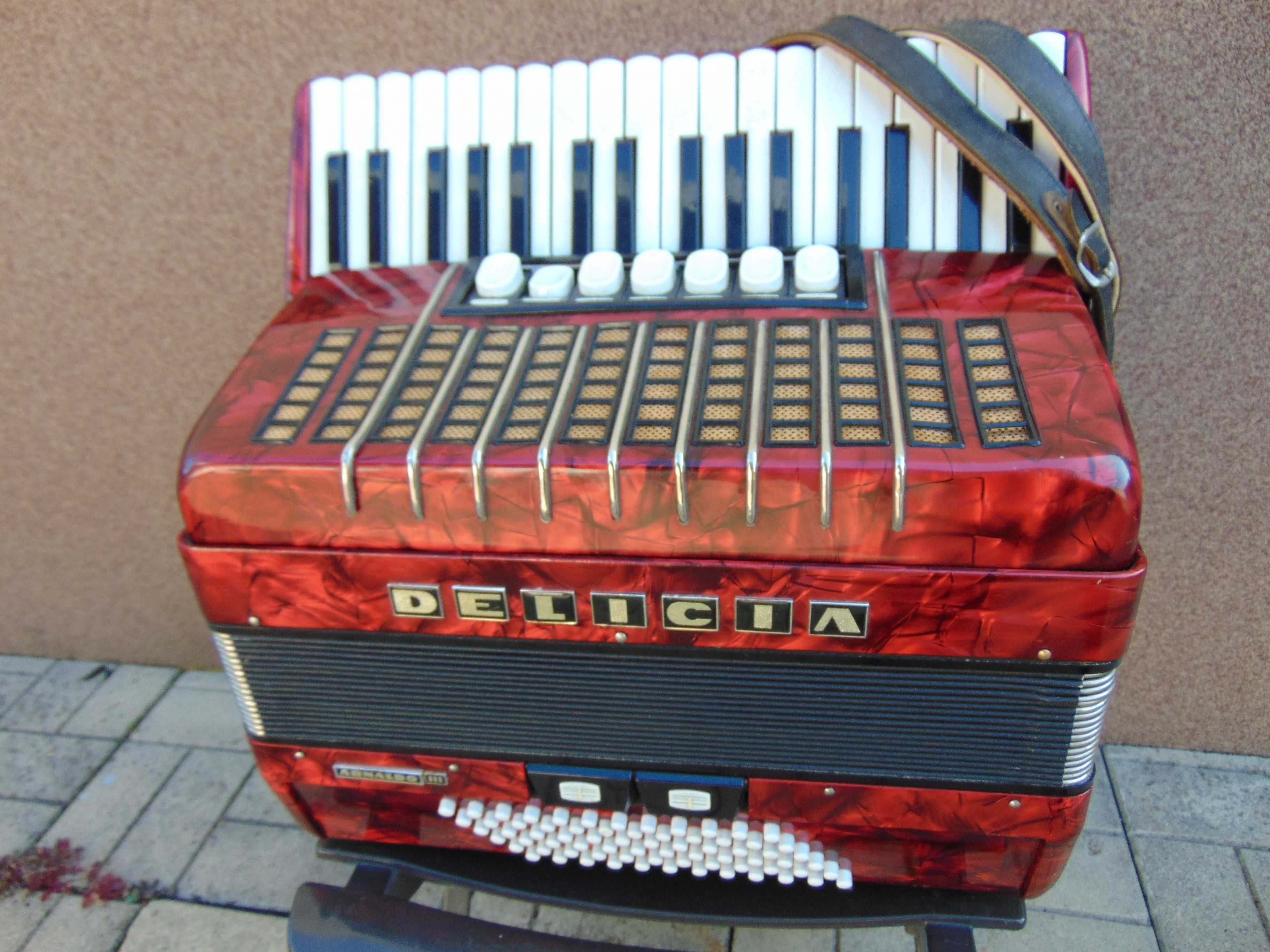 Akordeon Delicja
