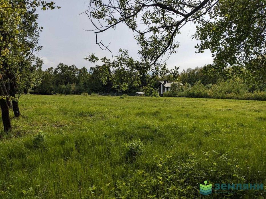 Продаж земельної ділянки біля лісу 23,58 сот в с. Нова Гута (8)