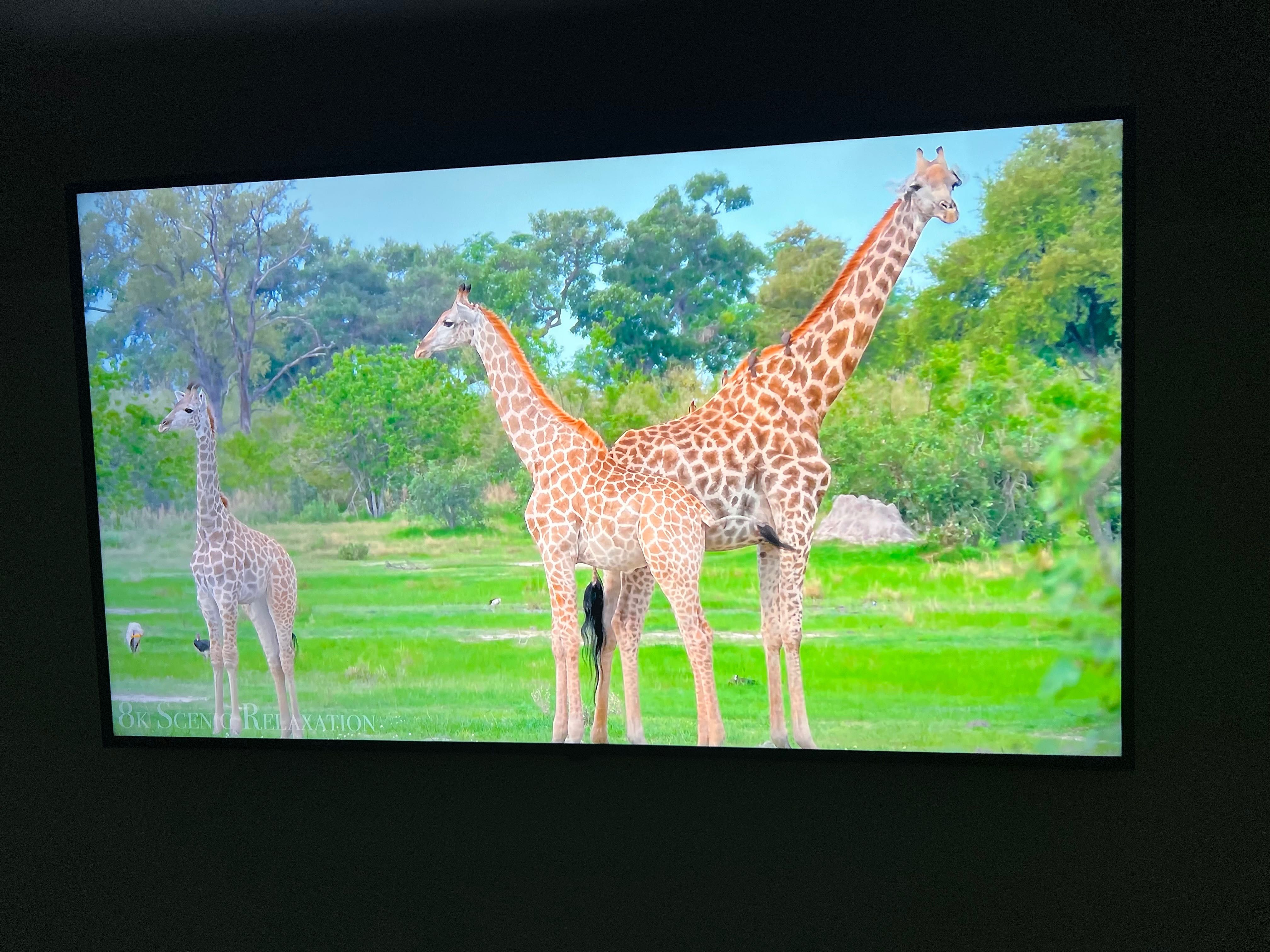 Telewizor LG 50” 50NANO769QA
