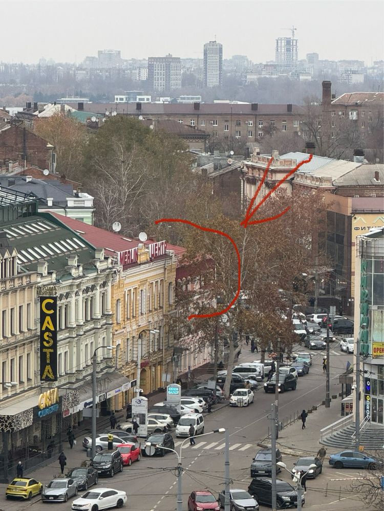 Сдам в оренду офіс Центр р-н цум