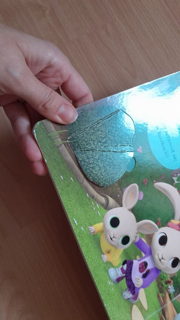 Gdzie jest Bing? Książka