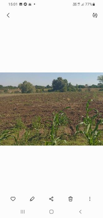 Продам будинок в селі Шульгівка