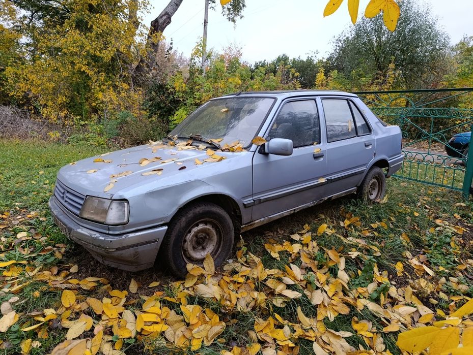 Peugeot 309 1.9d