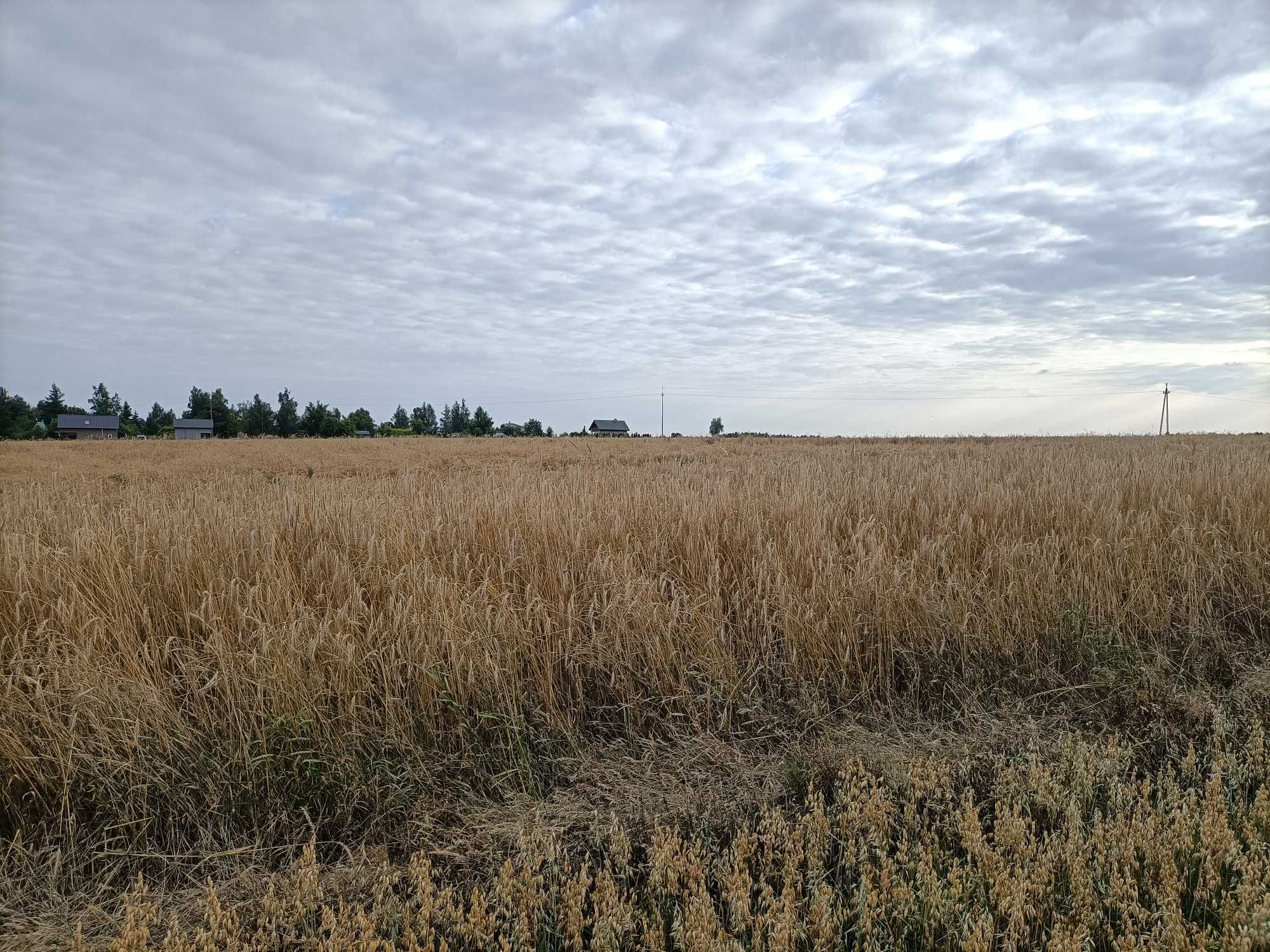 Działka rekreacyjna nad zalewem Jeziorsko z Warunkami Zabudowy