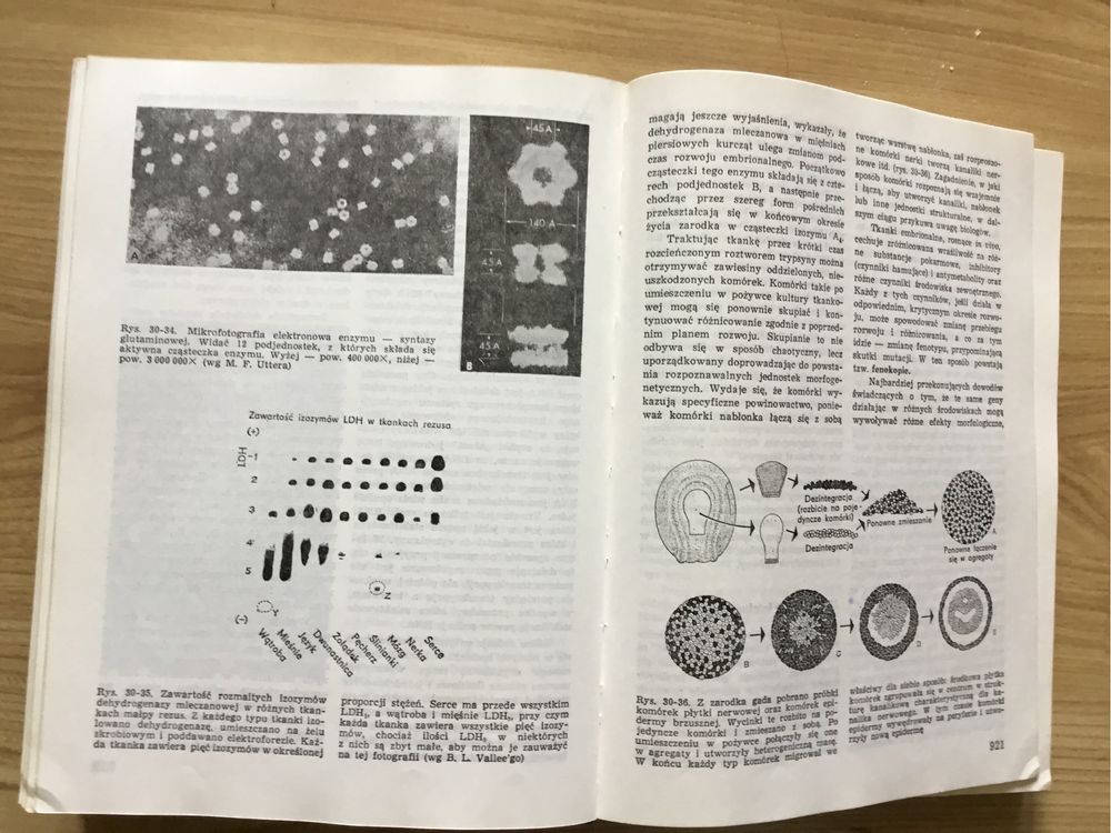 Biologia Villee Książka