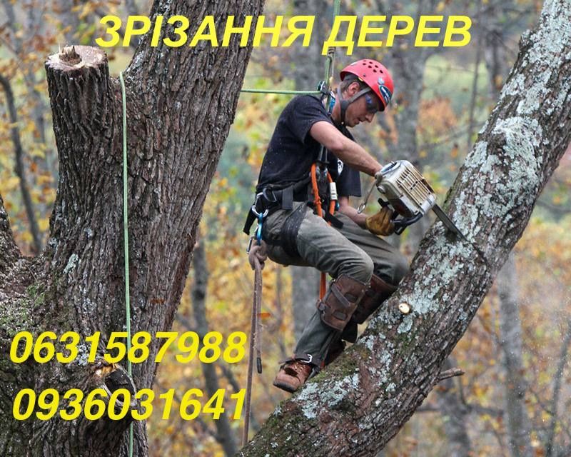 подрібнення гілок зрізання дерев вивіз сміття