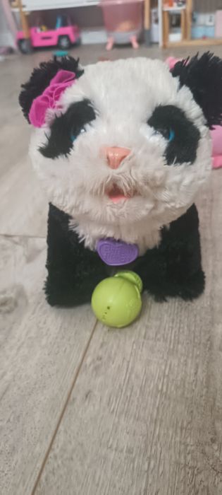 Panda interaktywna