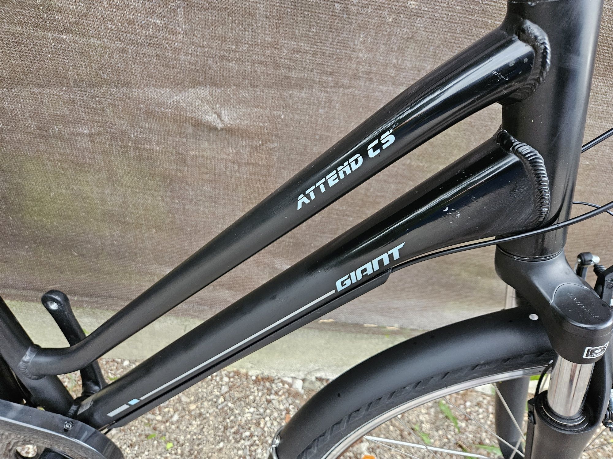 Rower Giant Attend CS 2