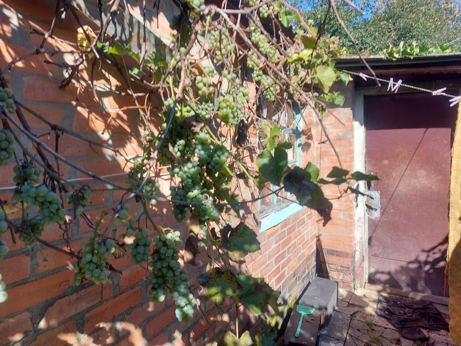 Продам будинок з земельною ділянкою