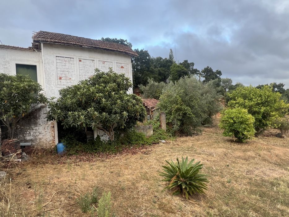 Vendo Terreno Espinheiro - Alcanena 1000m2