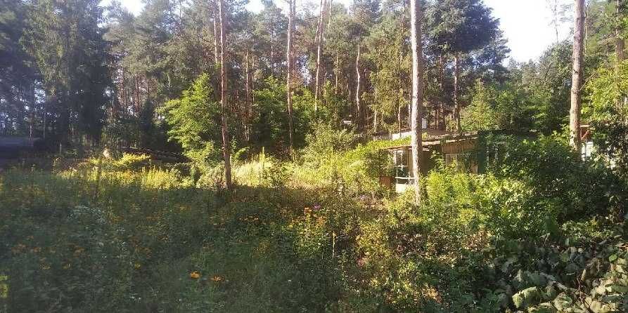 Odbiorę liście, gałęzie i inne odpady zielone