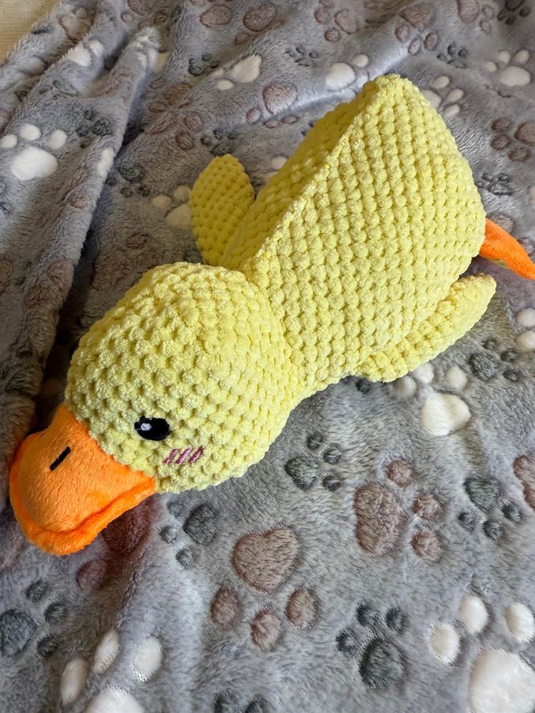 Brinquedo para animais