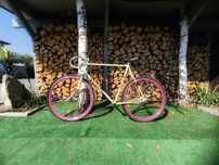 Rama stalowa Bianchi