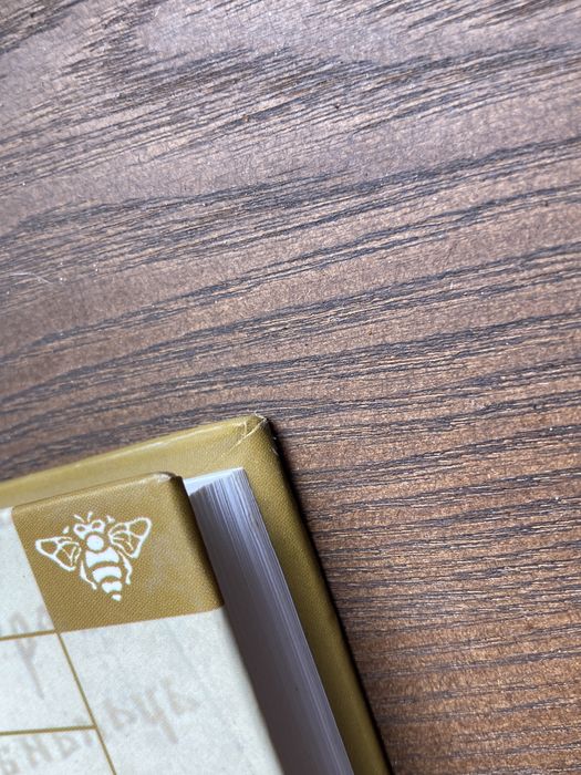 Живов В.М. — Восточно-славянское правописание XI-XIII в.