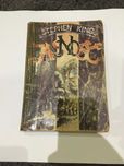 Stephen King Jasność