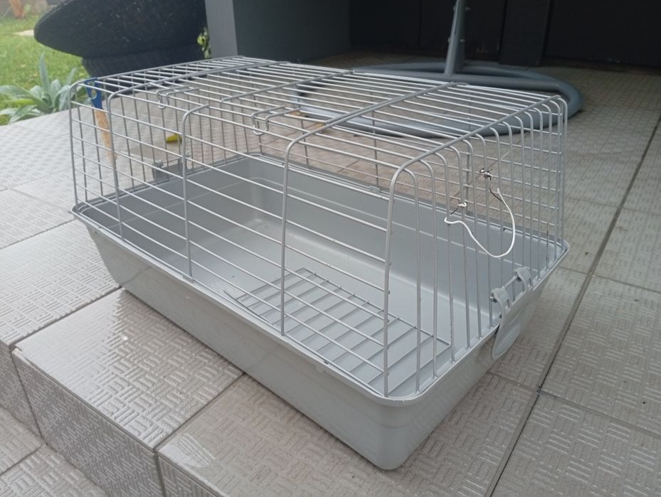 Gaiola coelho,  roedores