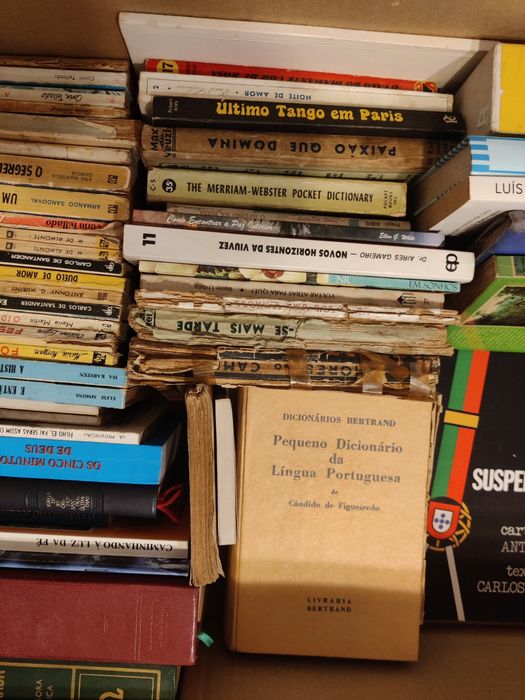 Lote 50+ livros - anos 70/80/90/00