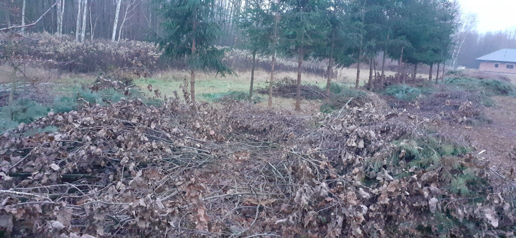 Gałęzie na zrębki oddam