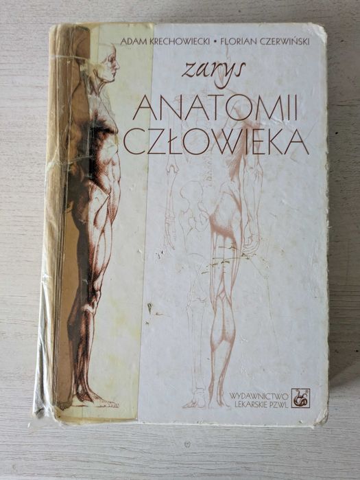 Zarys anatomii człowieka / Adam Krechowiecki, Florian Czerwiński
