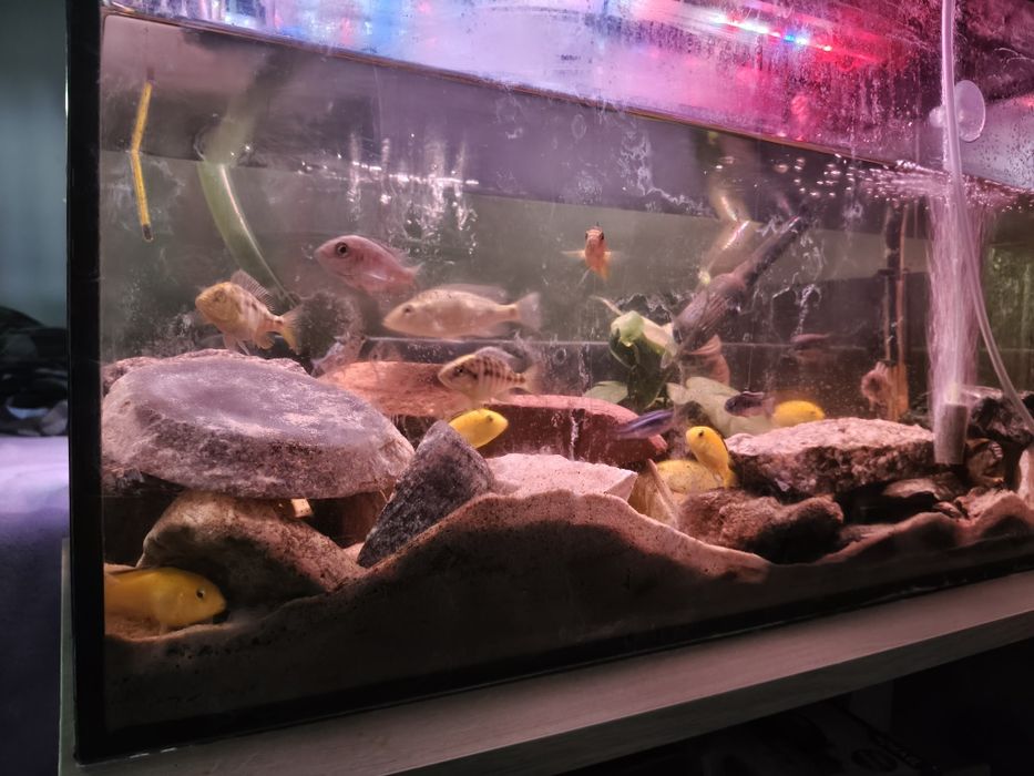 Sprzedam akwarium 130l.