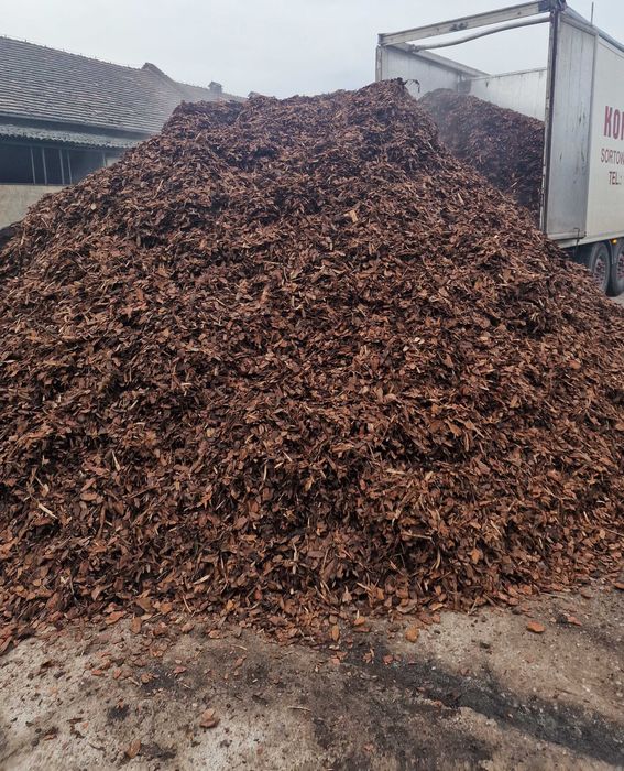 KORA SOSNOWA 80L Sortowana Ogrodowa Workowana Drobna Średnia Gruba