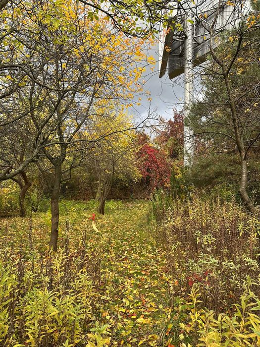 Na sprzedaż działka rekreacyjna 500m2 na terenie ROD "Dworzec Gdański"