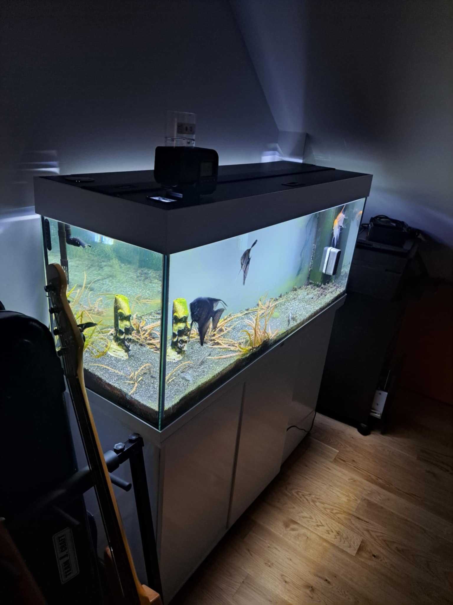 Akwarium 240L + zestaw (szafka, filtry, grzałka, smartfeed)