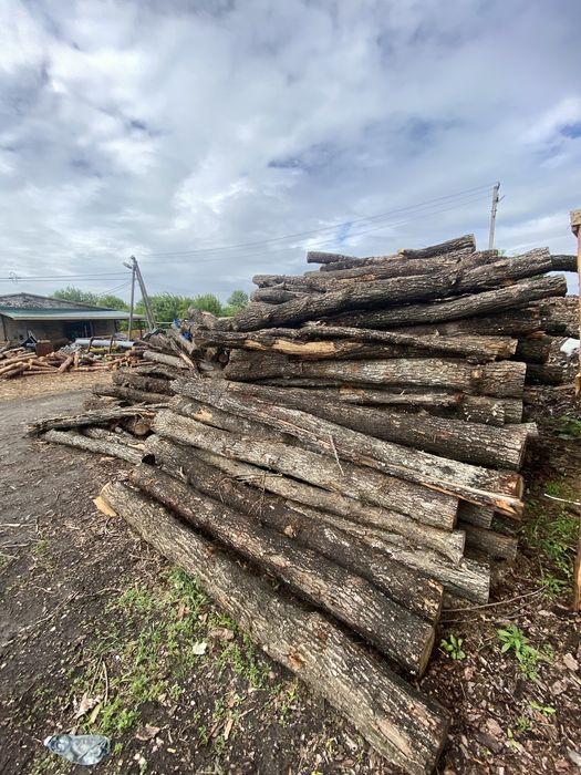 Дрова дубові кругляк