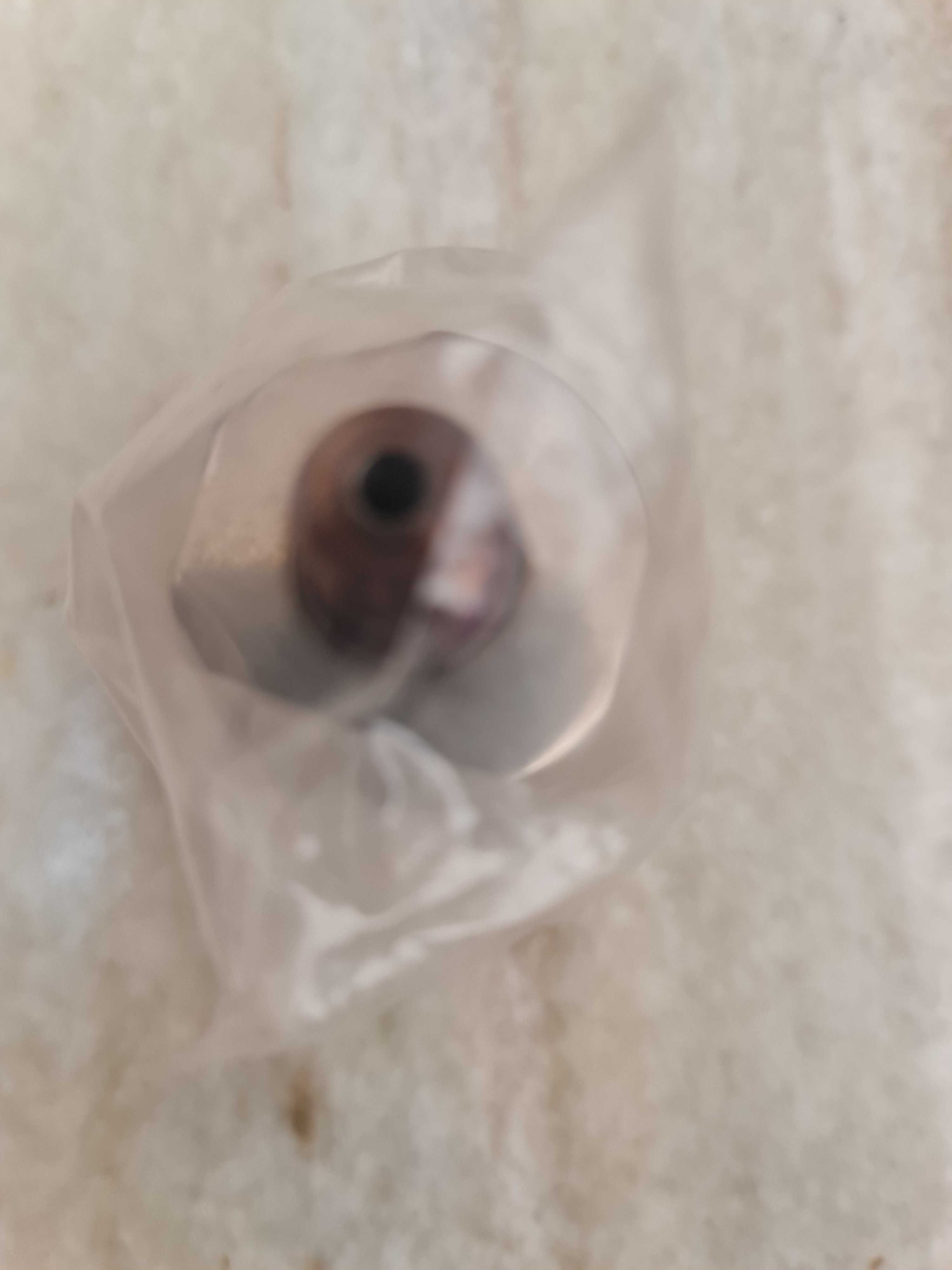 Sensor pressão de combustível (Novo)