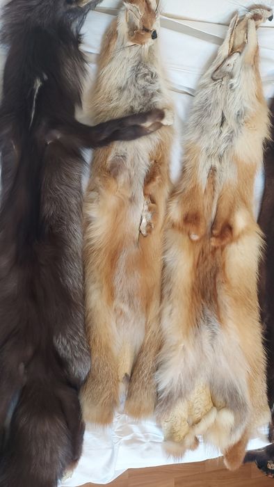 Хутро натуральне для шуби або на комір