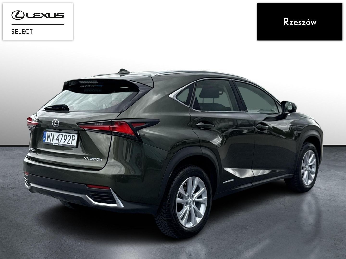 Lexus NX NX300h Business Edition | Piękna zieleń | FVAT 23%