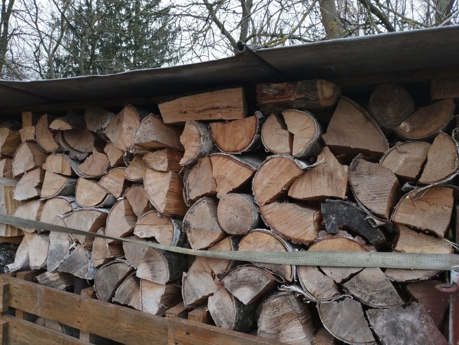 Drewno opałowe brzoza lub sosna .