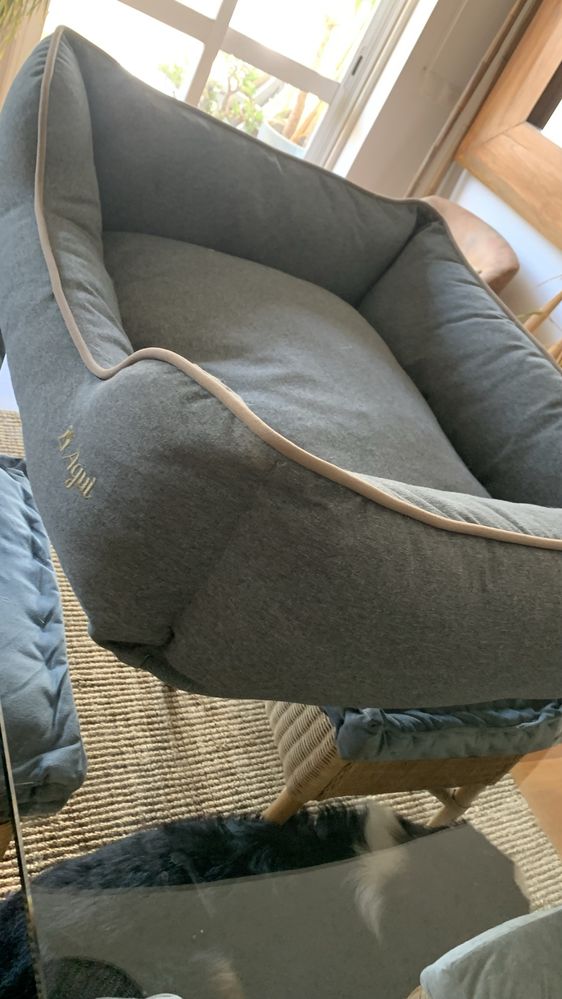 Cama para Cao a estrear!! AGUI