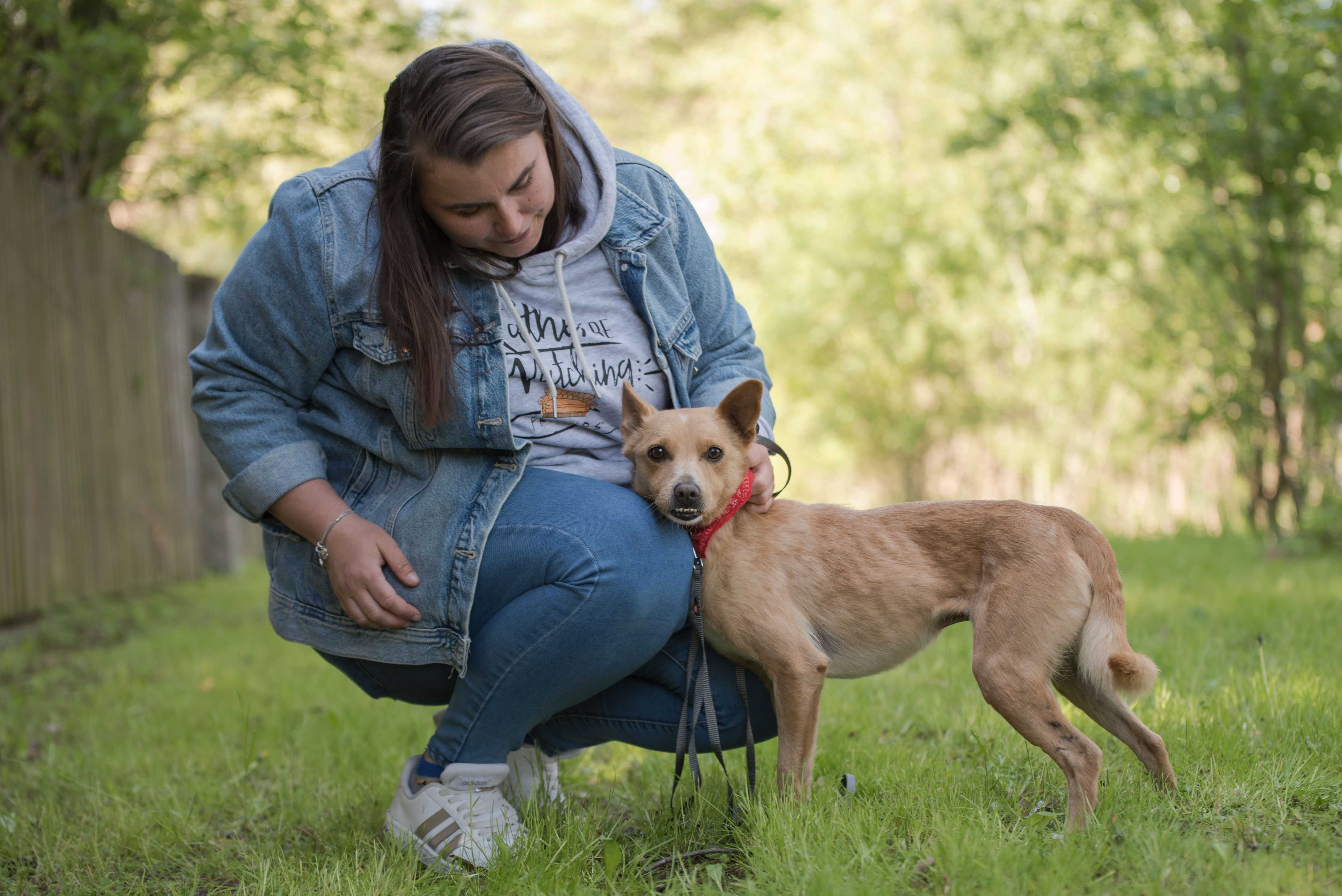 Śliczny mały Tufi poleca się do adopcji - słodki rudy psiak