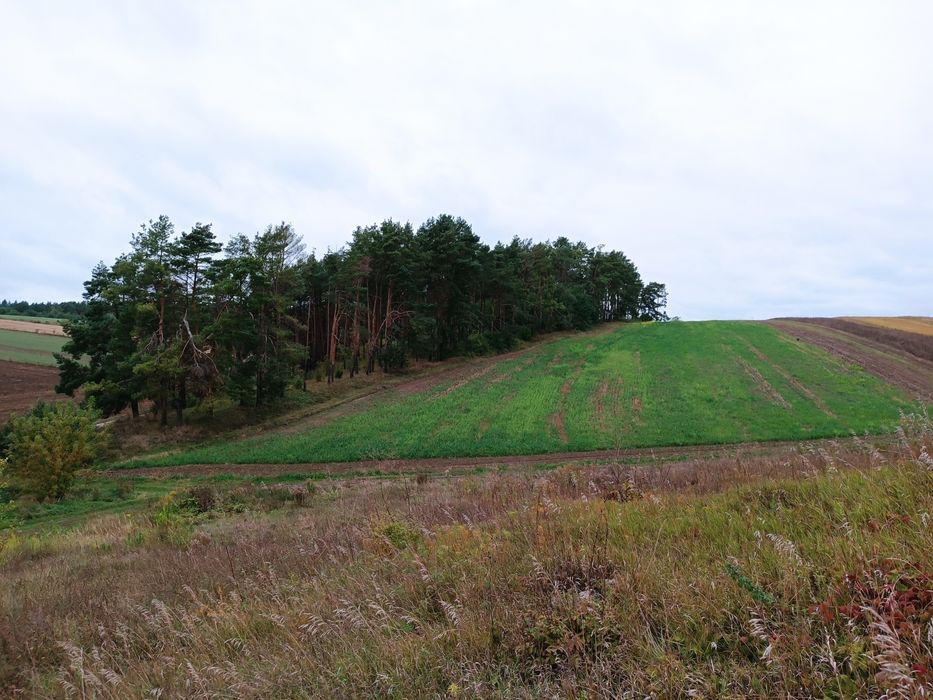 Продаж ділянки в Обарові. Асфальтний доїзд.