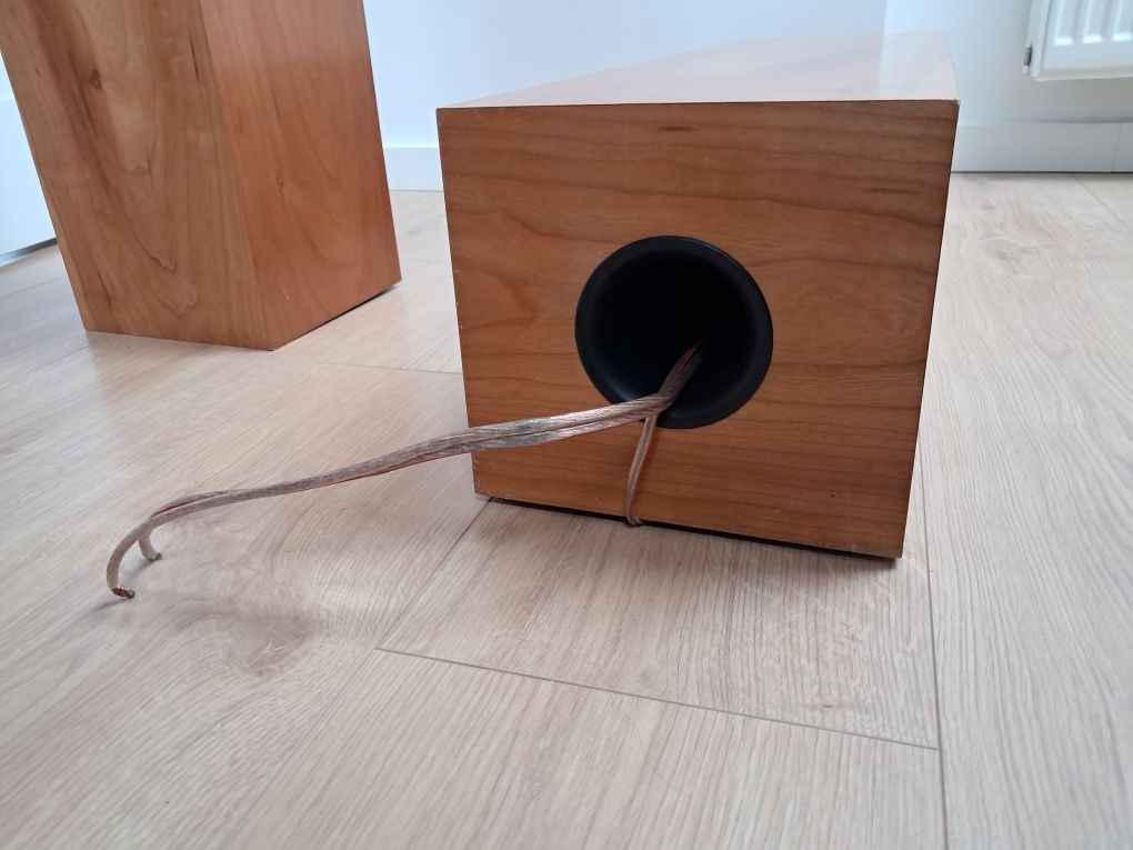 Kolumny głośnikowe DIY Scanspeak + Seas