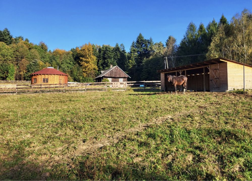 Wyjątkowe siedlisko w  Beskidzie Niskim