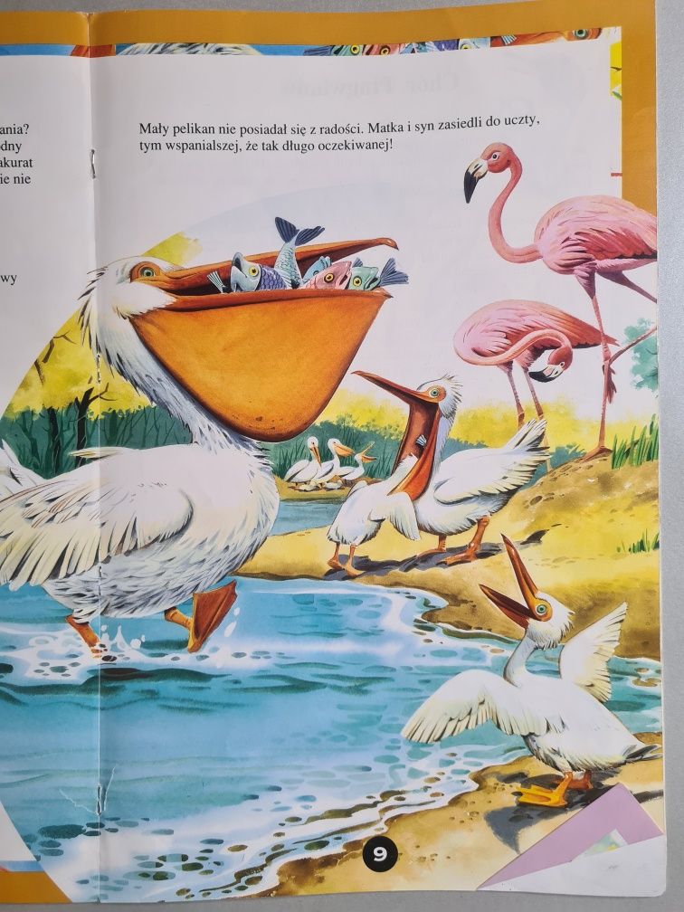 W wodzie i na lądzie - Książka dla dzieci