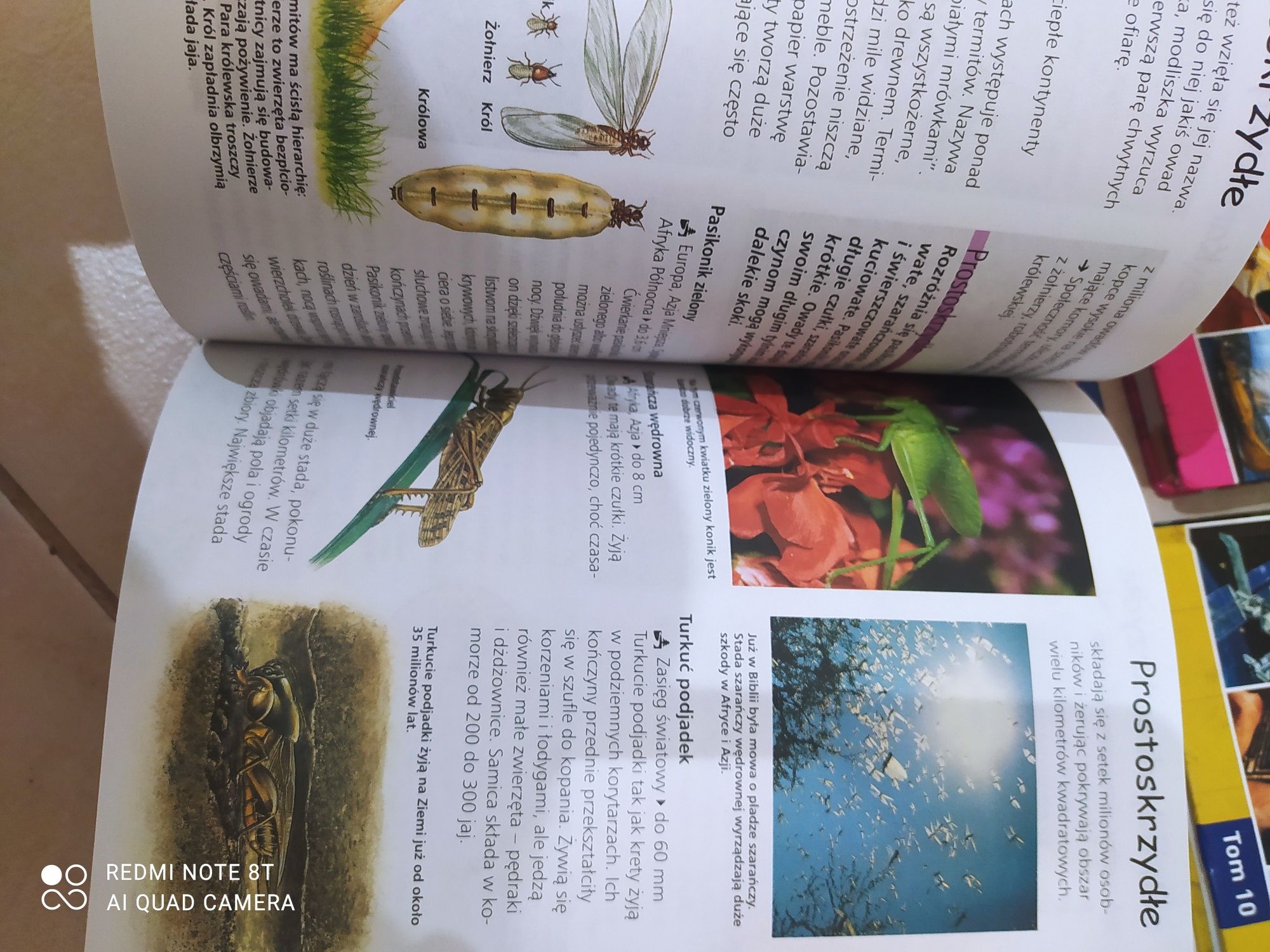 Encyklopedia szkolna * 4 książki Zwierzęta, Odkrycia wynalazki