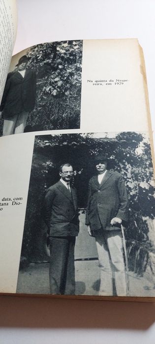 Raul Brandão - João Pedro de Andrade