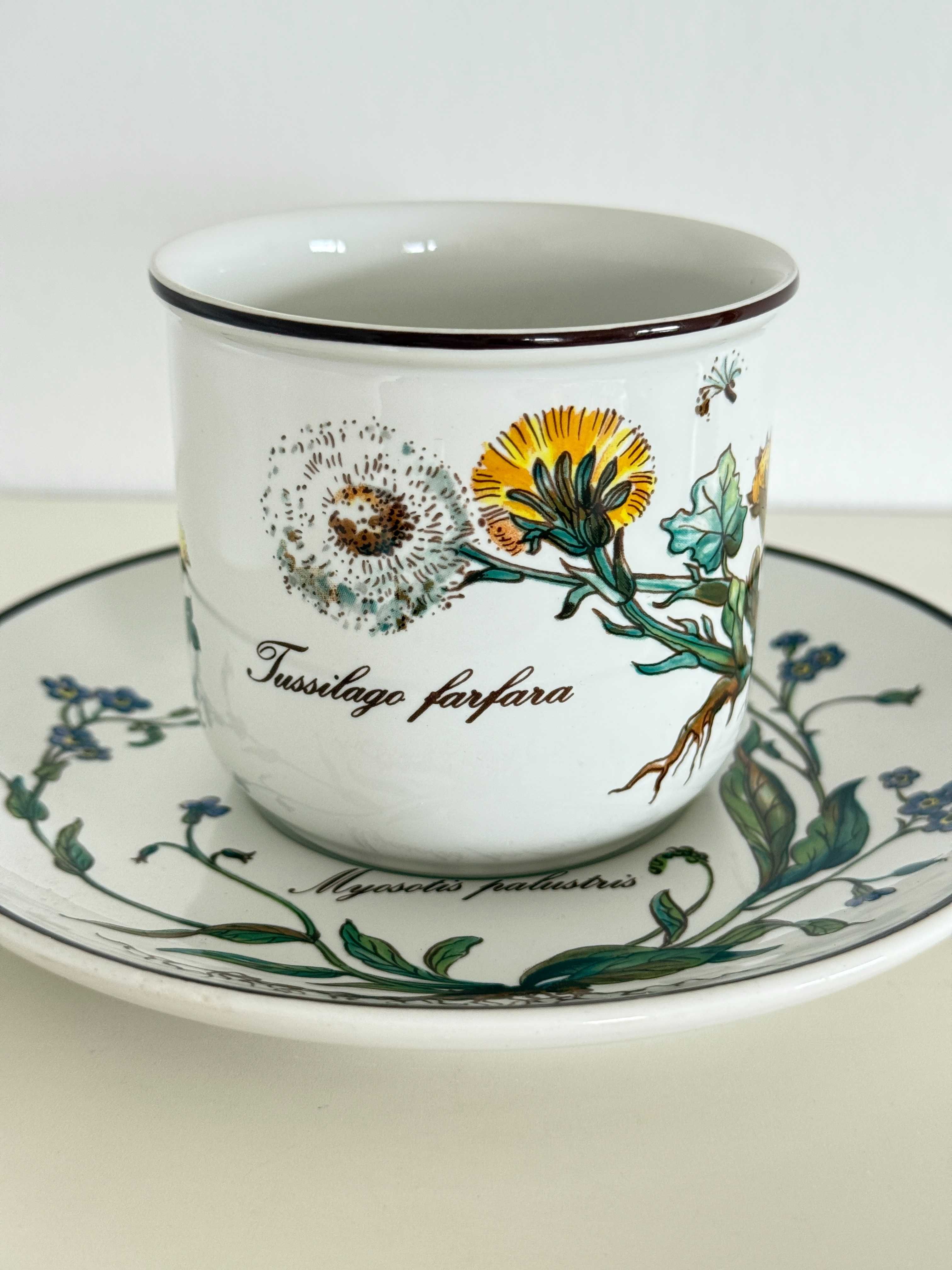 Filiżanka Botanica Villeroy &Boch porcelana vitro kwiaty przyroda kawa