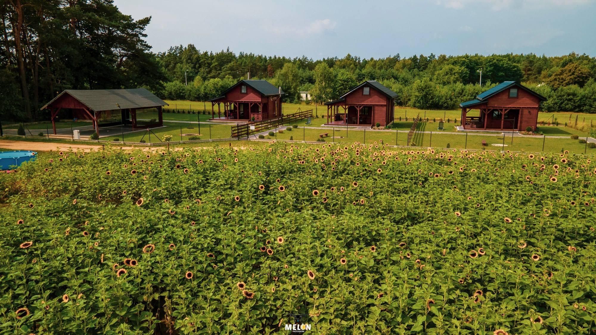 Domek drewniany z kominkiem, SAUNA