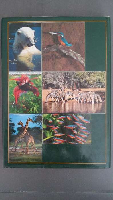 Livro La nouvelle encyclopédie des animaux 1980