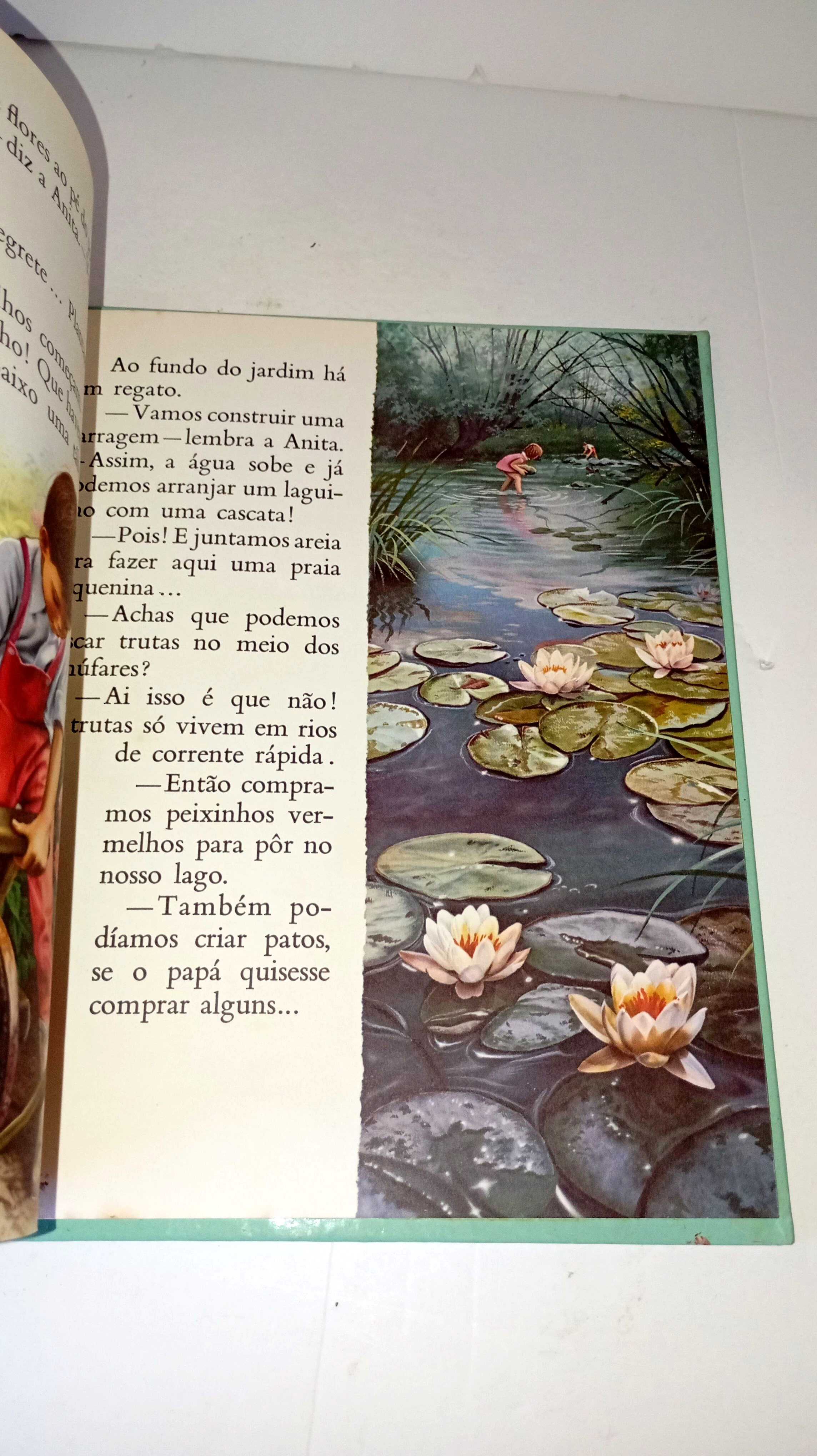 Anita no jardim - verbo infantil