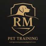 Adestramento de Animais  – Treino para Animais e Donos
