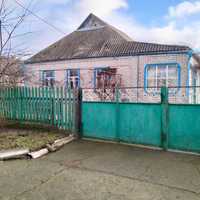 Будинок в селі Жданово (Надіївка)