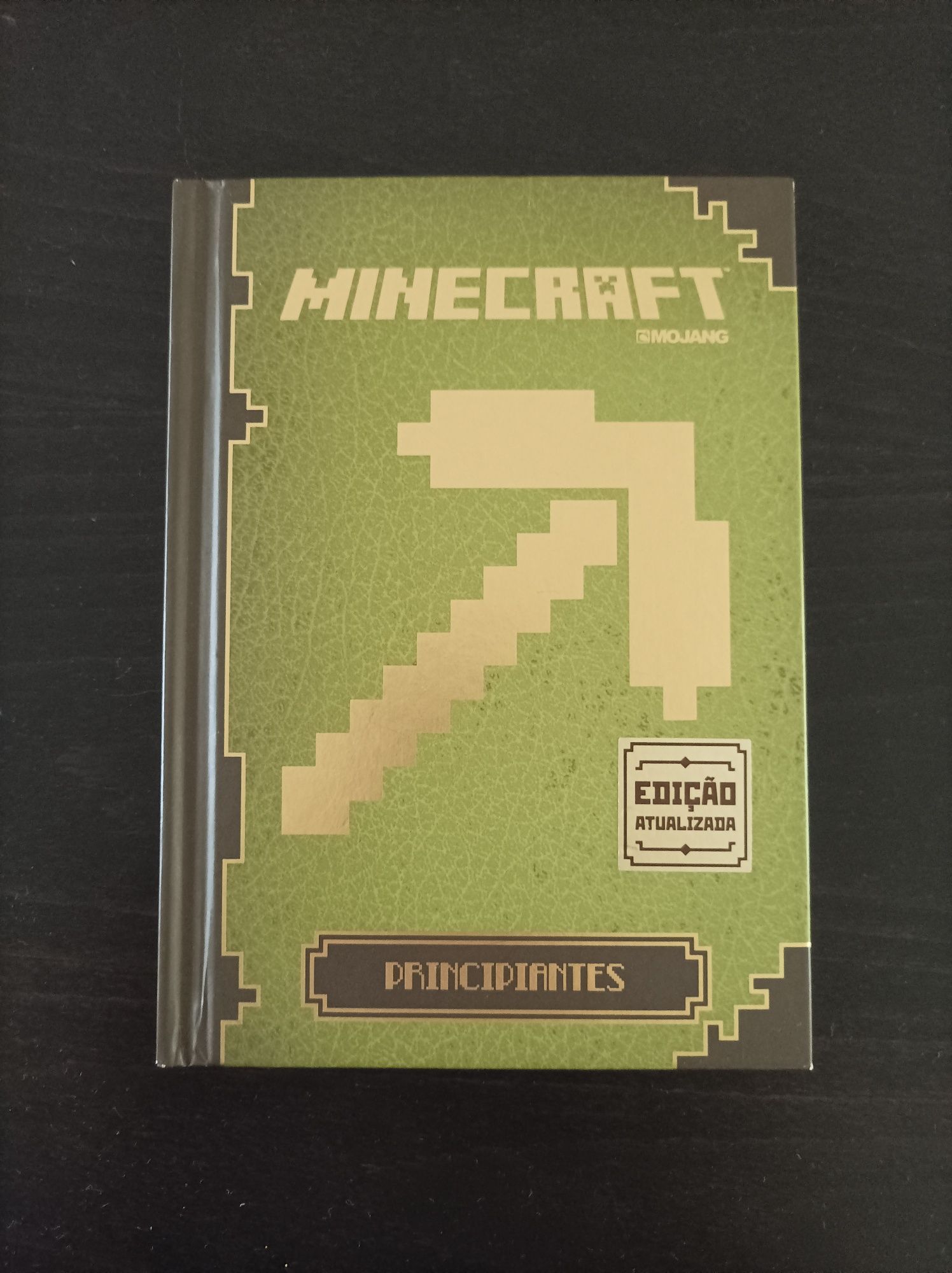 Livro Minecraft Principiantes