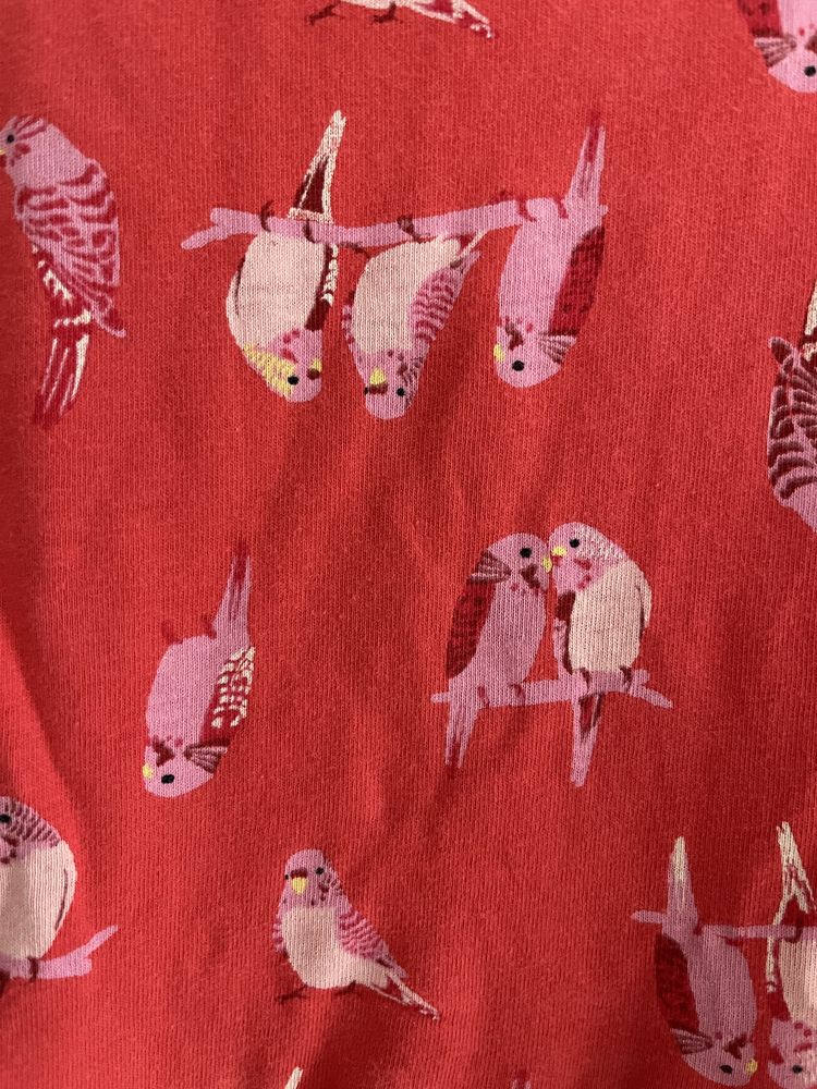 Sukienka czerwona w papugi H&M rozm. 122/128